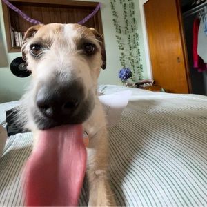 Meet your Posher, Evelyn